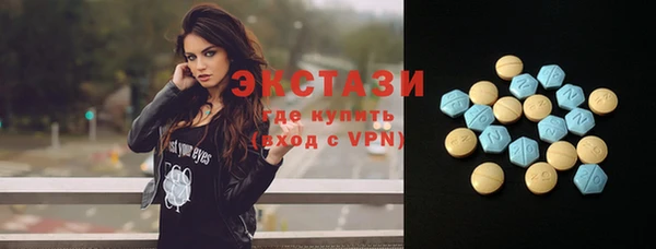 шишки Лабытнанги