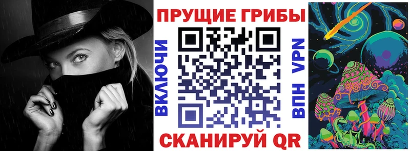 даркнет сайт  Болотное  Галлюциногенные грибы GOLDEN TEACHER 